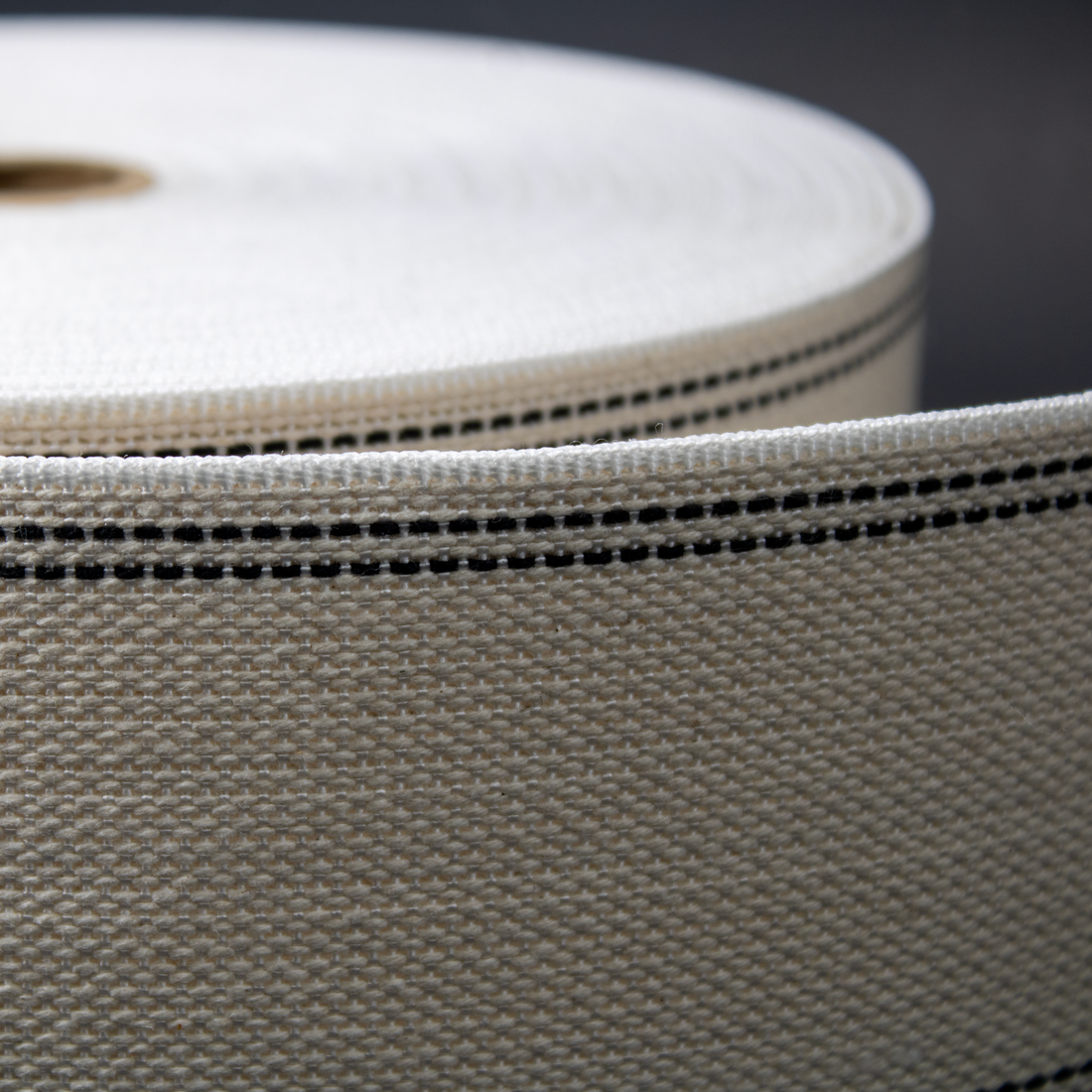 The Panther Series: Transforming the Landscape of Commercial Laundry