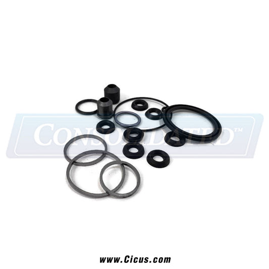GA Braun Steam Valve Actuator Seal – V01120053