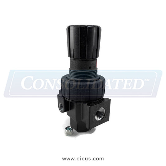 GA Braun Regulator, 1/2″ SMC DSK34498TZ – 011600005