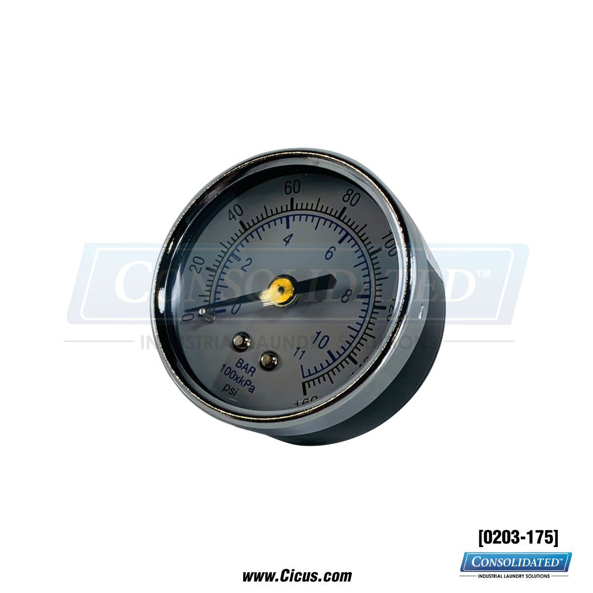 Chicago Dryer 1/8" Gauge NPT 2-1/4" Diameter-160 PSI [0203-175]