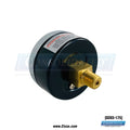 Chicago Dryer 1/8" Gauge NPT 2-1/4" Diameter-160 PSI [0203-175]
