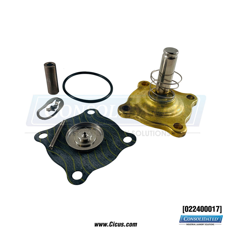 GA Braun Solenoid Valve Repair Kit, 120VAC – 022400017