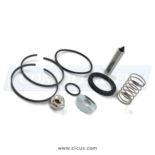 Chicago Dryer Valve Repair Kit, 1 1/4" – 12444