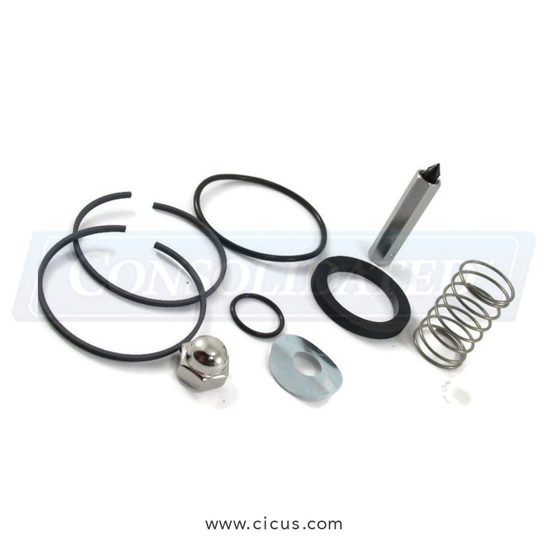 Chicago Dryer Valve Repair Kit, 1 1/4" – 12444