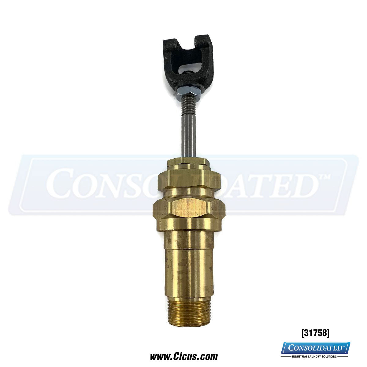 Forenta Buck Steam Tube, 905Hsa [31758] - Frotn View