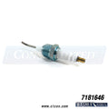 Washex Igniter, Spark Plug A7181646 – 7181646