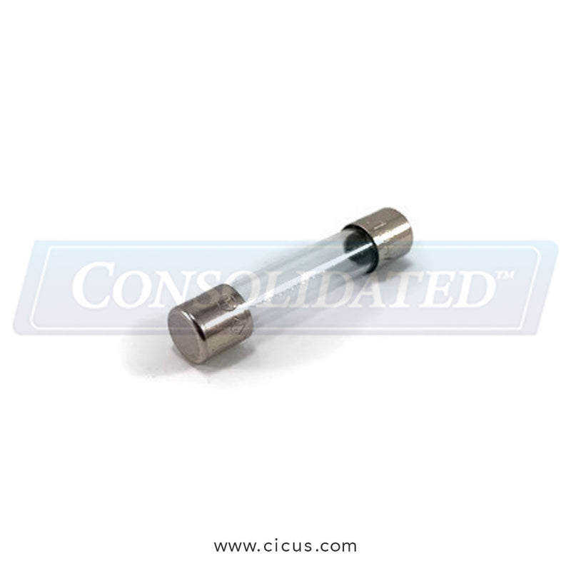 Dexter Fuse, L, 5A – 8636-018-001
