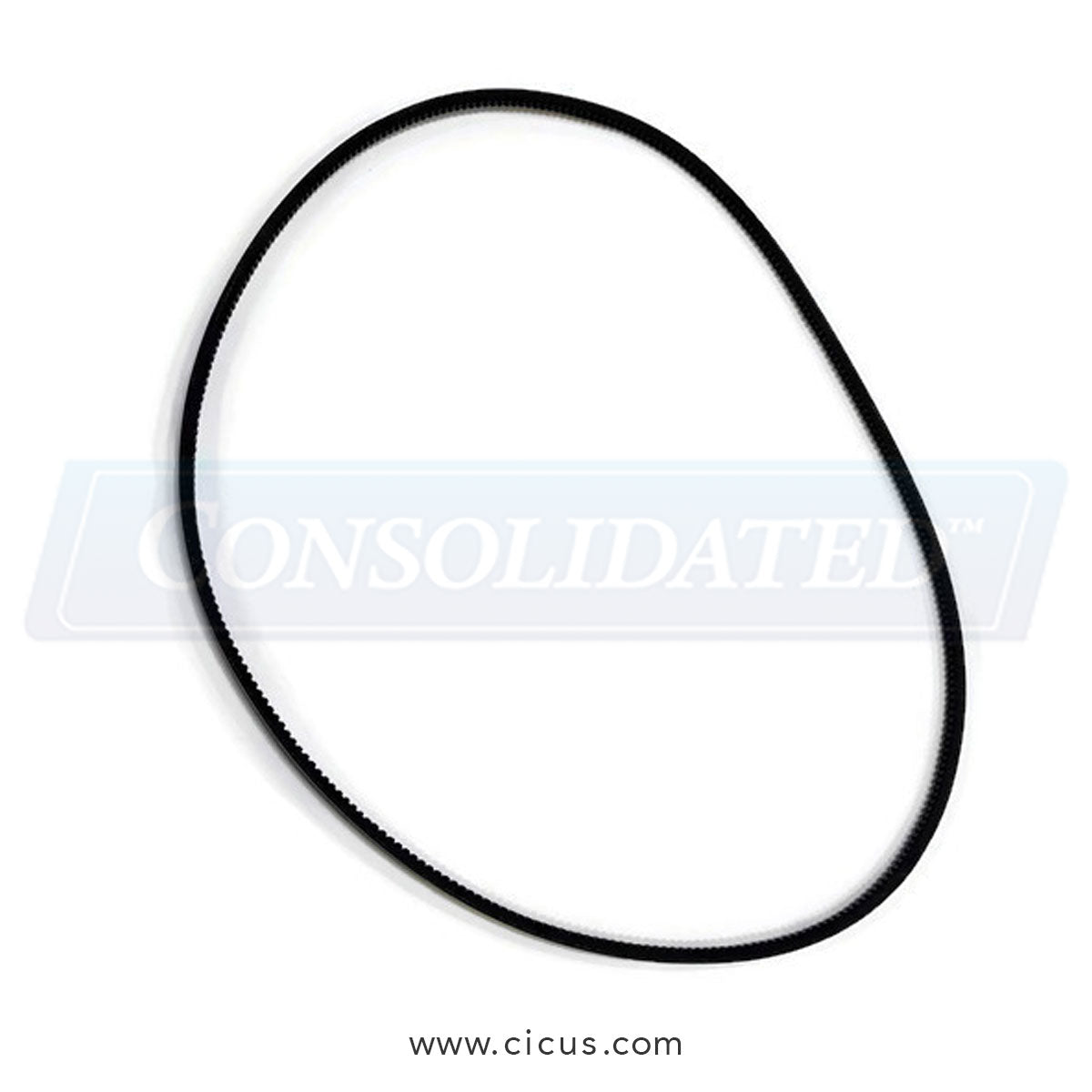 Dexter Pulley-to-Pulley Belt (9040-076-005)