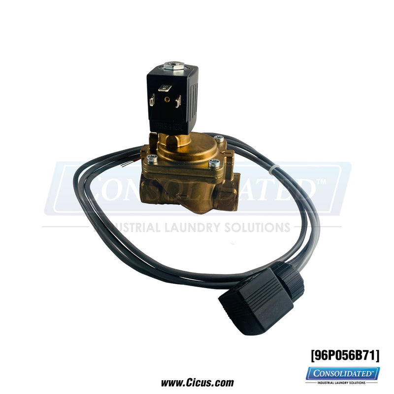 Milnor Steam Valve, 3/4" w/ Leads – 96P056B71
