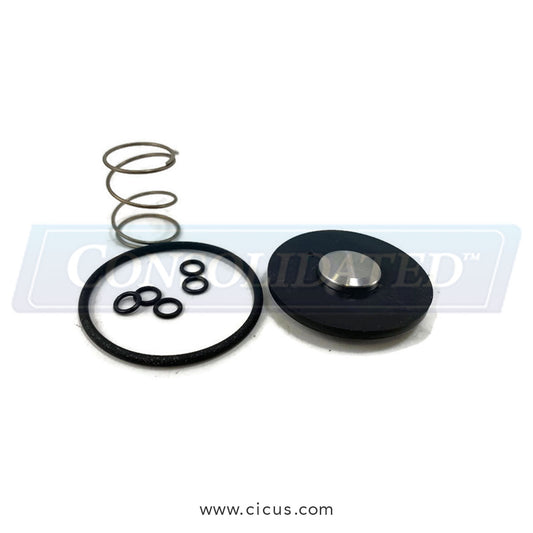 Burkert Repair Kit, 3/4″ Solenoid Valve SS Viton – 98110759