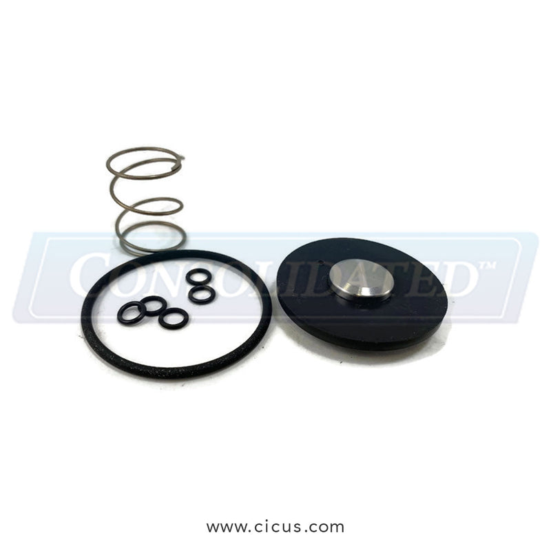 Burkert Repair Kit, 3/4″ Solenoid Valve SS Viton – 98110759
