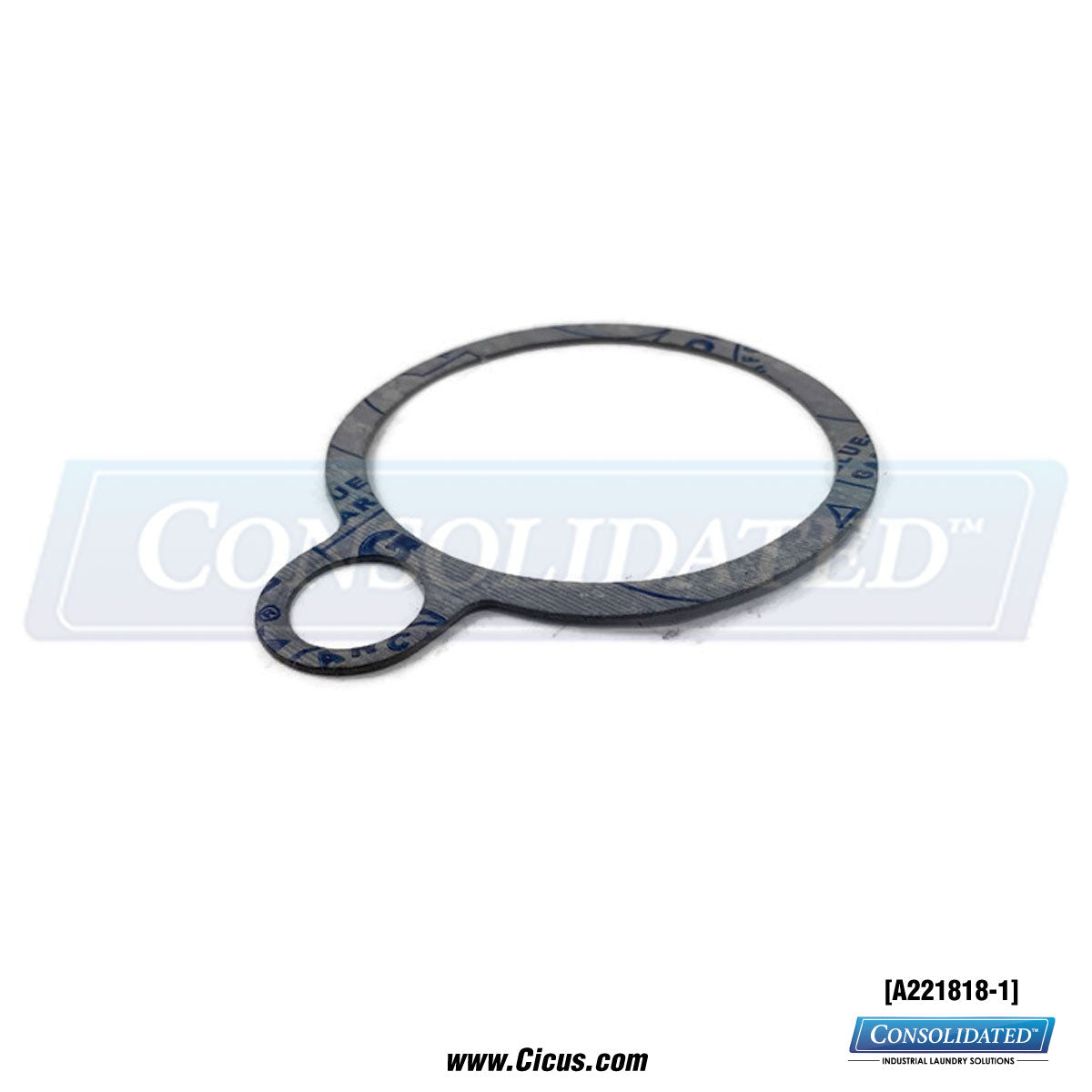 Armstrong 812 - 3/4" Gasket Repair Kit [A221818-1] - Front View