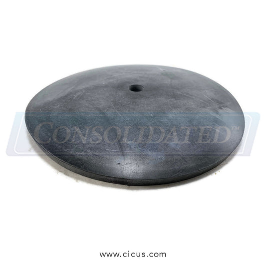 GA Braun Disc, NPRN 8″ SS DV – A30003348